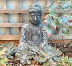 Buddha statue in the garden